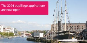 Pupillage