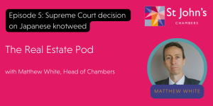 Supreme Court decision on Japanese knotweed – a bite-sized podcast